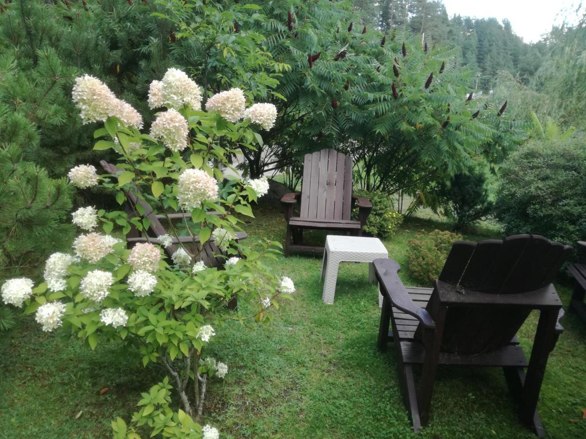 Sveciu Namai Aldaivita Ignalina Luaran gambar