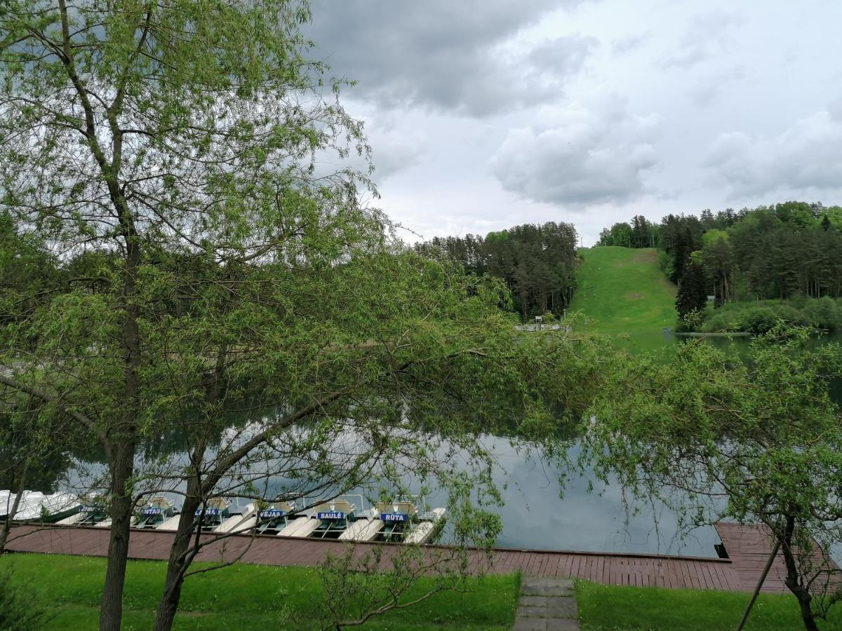 Sveciu Namai Aldaivita Ignalina Luaran gambar