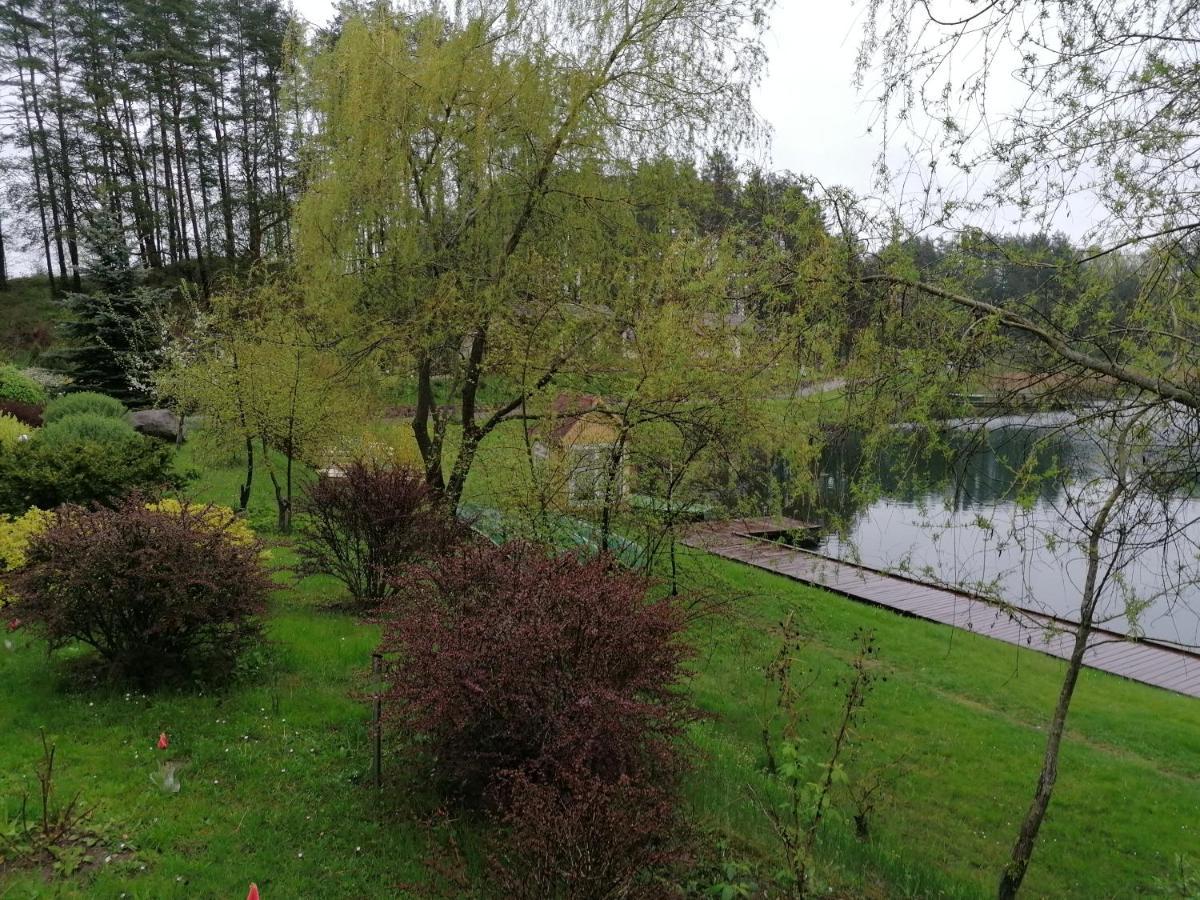 Sveciu Namai Aldaivita Ignalina Luaran gambar